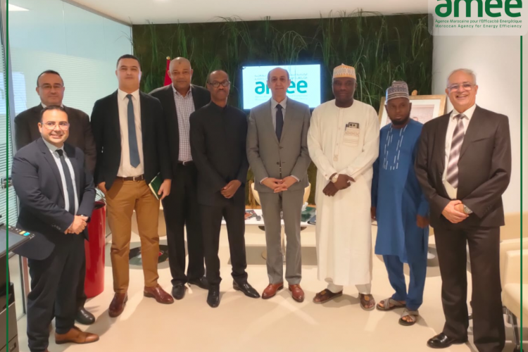 Visite d'une délégation Nigériane à l'AMEE