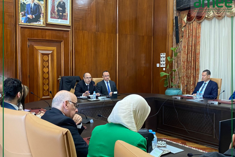 PREED casablanca - AMEE