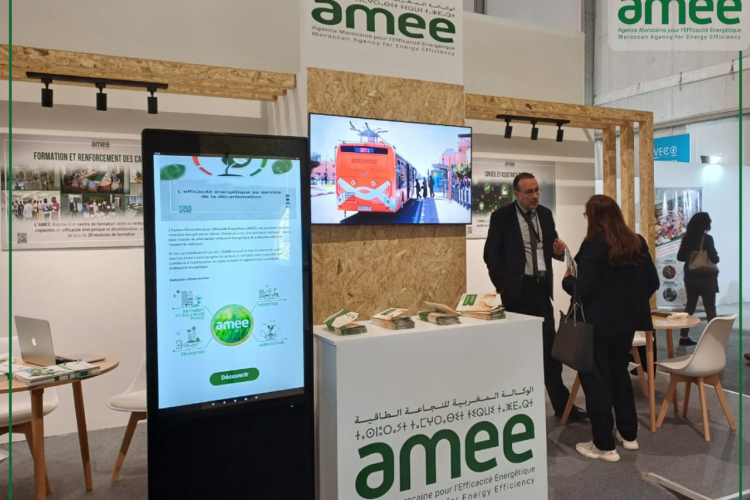 Participation de l'AMEE au GIES 