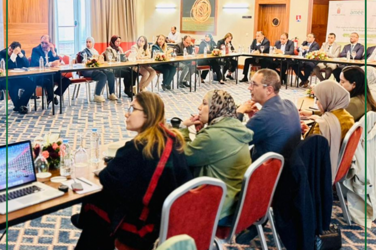 𝐏𝐥𝐚𝐧 𝐫𝐞́𝐠𝐢𝐨𝐧𝐚𝐥 𝐝’𝐞𝐟𝐟𝐢𝐜𝐚𝐜𝐢𝐭𝐞́ 𝐞́𝐧𝐞𝐫𝐠𝐞́𝐭𝐢𝐪𝐮𝐞 𝐞𝐭 𝐝𝐞 𝐝𝐞́𝐜𝐚𝐫𝐛𝐨𝐧𝐚𝐭𝐢𝐨𝐧 𝐝𝐞 𝐥𝐚 𝐫𝐞́𝐠𝐢𝐨𝐧 𝐓𝐚𝐧𝐠𝐞𝐫-𝐓𝐞́𝐭𝐨𝐮𝐚𝐧-𝐀𝐥 𝐇𝐨𝐜𝐞𝐢̈𝐦𝐚 : 𝐀𝐭𝐞𝐥𝐢𝐞𝐫 𝐝𝐞 𝐩𝐫𝐞́𝐬𝐞𝐧𝐭𝐚𝐭𝐢𝐨𝐧 𝐝𝐮 𝐩𝐥𝐚𝐧 𝐫𝐞