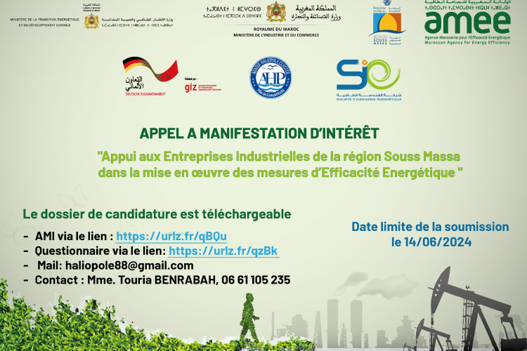 AMI "Appui aux Entreprises Industrielles de la région Souss Massa dans la mise en œuvre des mesures d'Efficacité Énergétique "