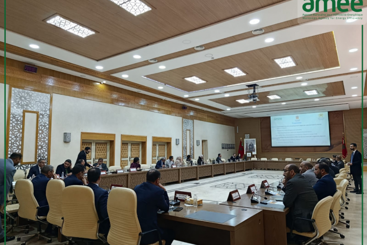 PREED LAAYOUNE - AMEE 1