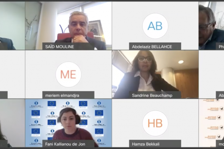 Intervention  de M.Said Mouline au webinaire Atelier de partage sur les bonnes pratiques d’efficacité énergétique dans le secteur agro-alimentaire